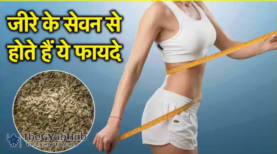 क्या जीरा वाकई पिघला सकता है पेट की जिद्दी चर्बी? एक्सपर्ट से जानें इस दावे की सच्चाई