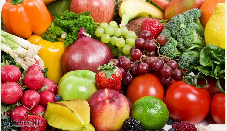 Food Sovereignty in Focus: How Technology Could Empower Nations