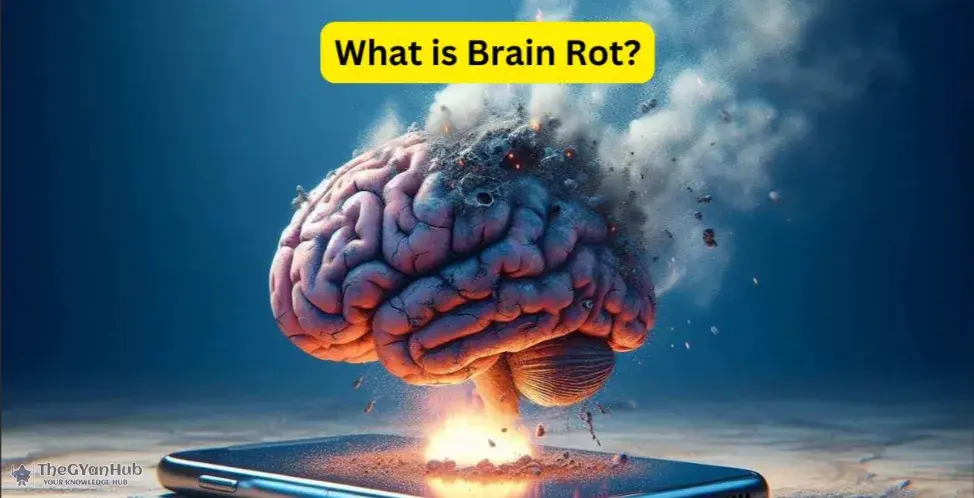 AI Suffers 'Brain Rot': How Junk Data Corrupts Chatbots