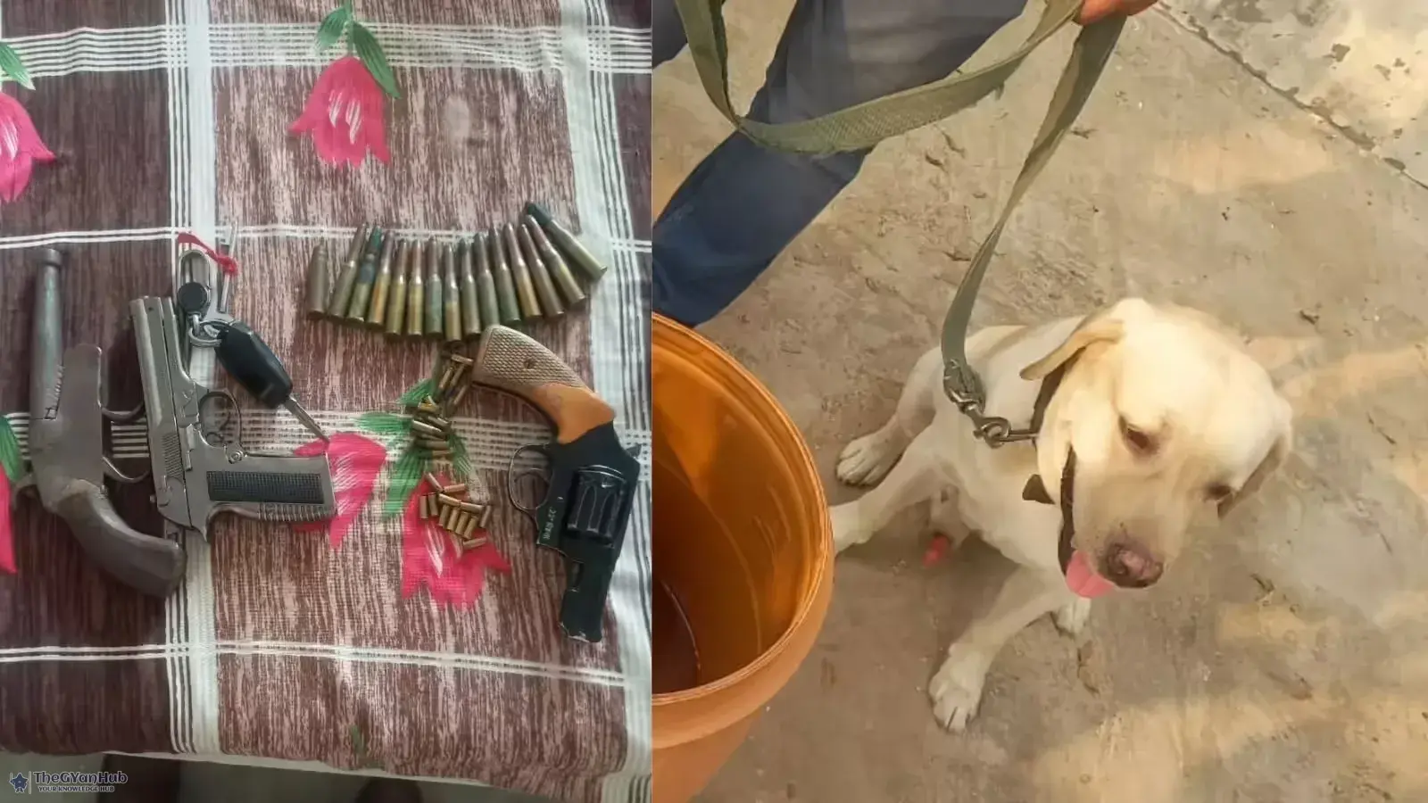 सेना के जांबाज़ डॉग ‘रोबो’ ने दी सेवा से विदाई, 7 साल देश की सुरक्षा में किया योगदान