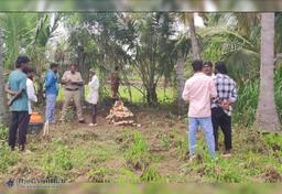 Police officers escorting a woman and her partner after their arrest in connection with a baby’s death