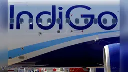 IndiGo shares fall sharply due to widespread flight disruptions