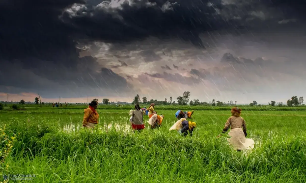 Meet the MBA Dropout Revolutionizing Agriculture with Disease-Resistant Vegetables